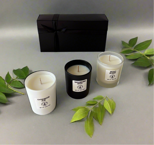 Seasons Of Scent - Candle Trio Gift Set