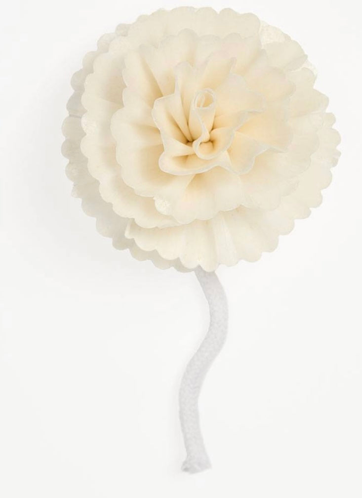 Flower Reed for Diffusers